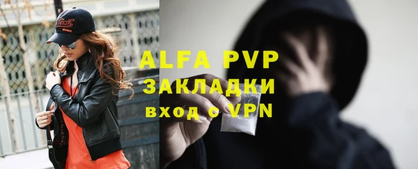 стафф Алексин