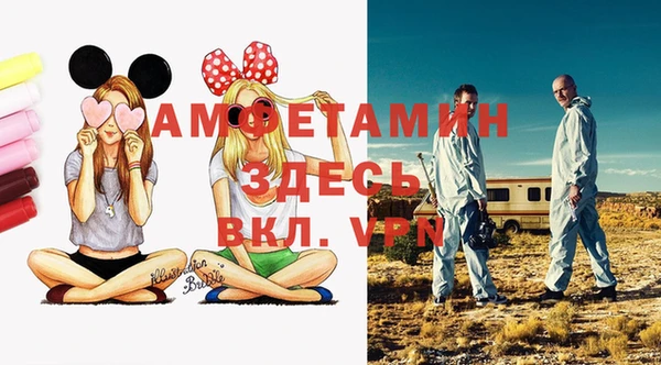 индика Алексеевка