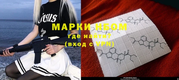 стафф Алексин