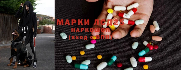 стафф Алексин