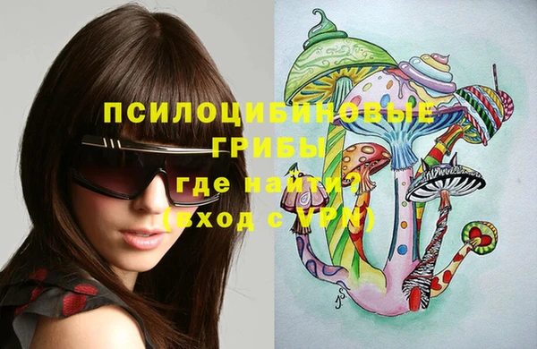индика Алексеевка