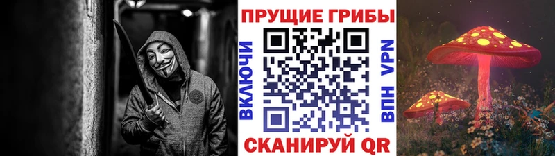 Псилоцибиновые грибы MAGIC MUSHROOMS  купить наркотики цена  Зуевка 