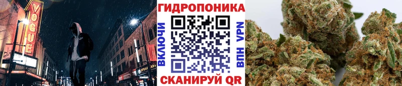 omg онион  Зуевка  Шишки марихуана гибрид 